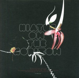 Covermotiv - Hiatus on the Horizon
