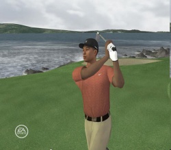 Tiger Woods PGA Tour 08