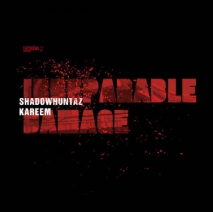 Covermotiv - Irreparable Damage