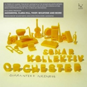 Covermotiv - Sonar Kollektiv Orchester - Guaranteed Niceness