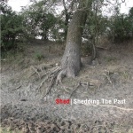 Covermotiv - Shed - Shedding The Past