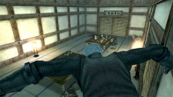 Tenchu: Shadow Assassins