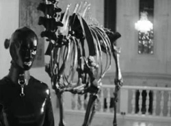 © 2009 HFF München - DOK Leipzig 2009