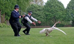 Auch in der Provinz muss sich dem Daily Business gestellt werden. PC Danny Butterman (Nick Frost) und Nicholas Angel (Simon Pegg) - Hot Fuzz