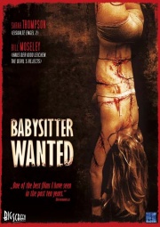 Babysitter Wanted