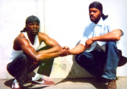Crips & Bloods - Made In America