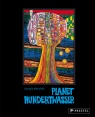 Covermotiv - Planet Hundertwasser