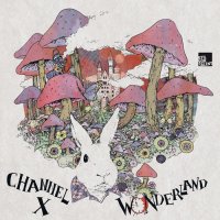 Channel X - Wonderland Covermotiv - Wonderland