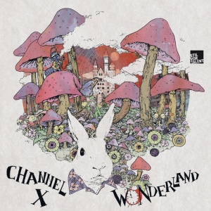 Covermotiv - Wonderland