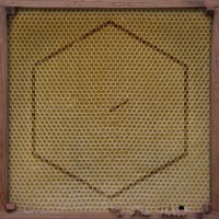 Rangleklods - Beekeeper Covermotiv - Beekeeper