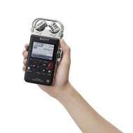 Field Recording - Sony PCM-D100