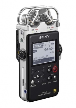Field Recording - Sony PCM-D100