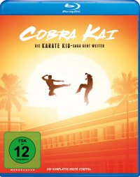 Cobra Kai - Die Serie, Titelmotiv